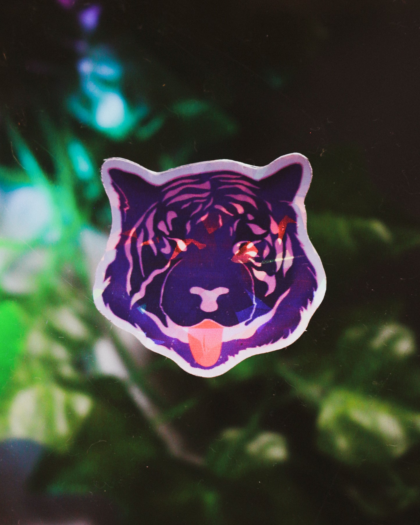 Resting Tigers Vinyl Holographic Sticker